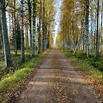 Wanha Rojola * Syöte