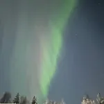 Wanha Rojola Syöte