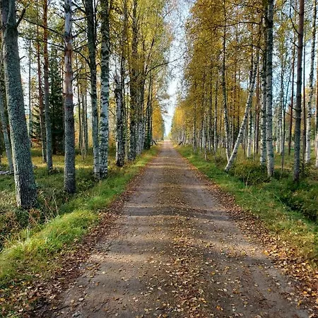 Wanha Rojola * Pärjänsuo