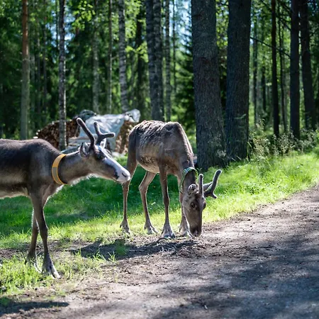 Wanha Rojola Pärjänsuo
